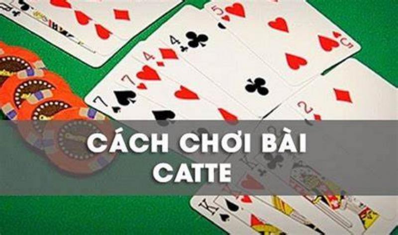 Phương pháp tính điểm trong bài Catte